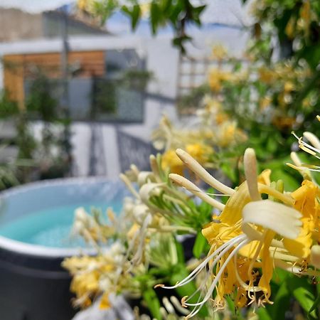Le Petit Patio Bed & Breakfast Aigues-Mortes Exterior photo