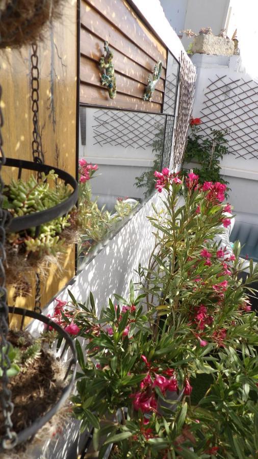 Le Petit Patio Bed & Breakfast Aigues-Mortes Exterior photo