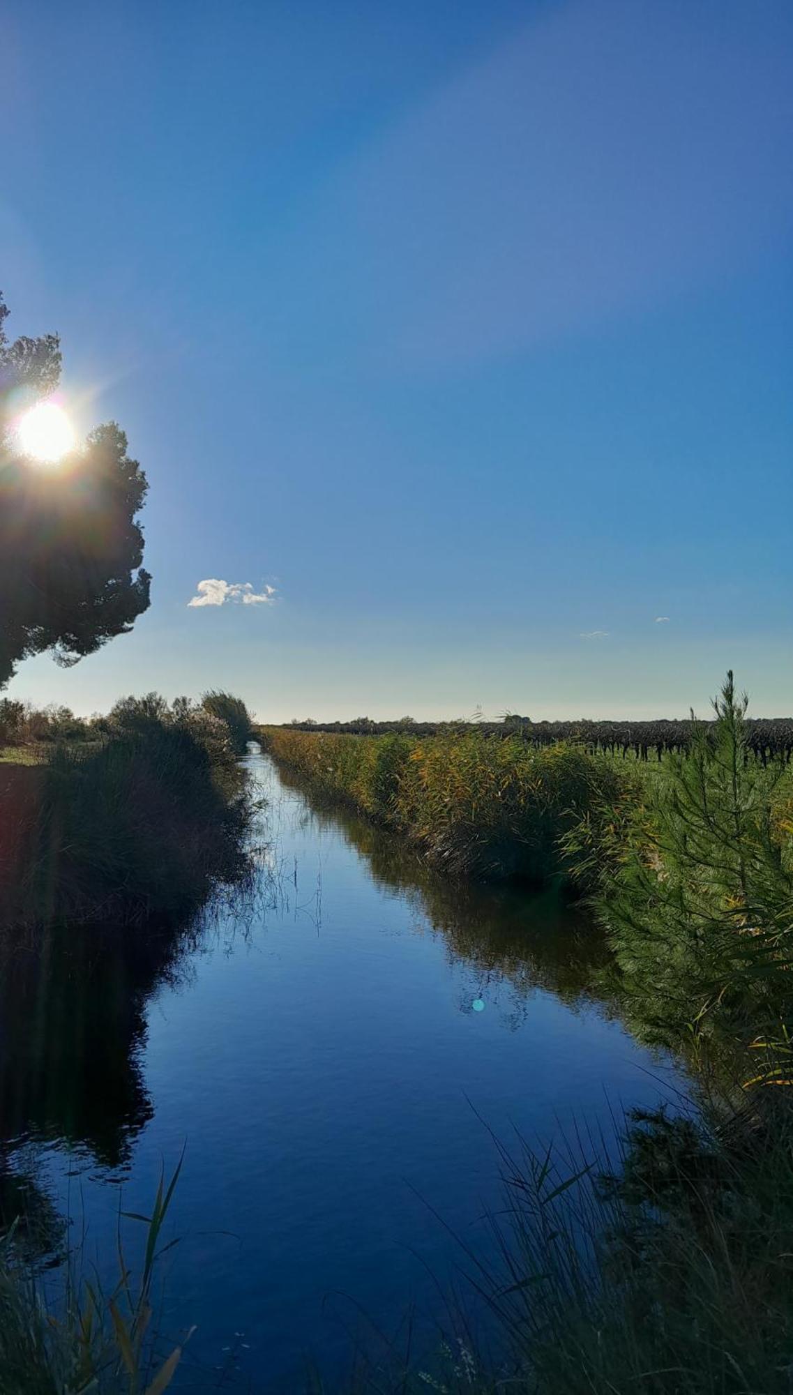 Le Petit Patio Bed & Breakfast Aigues-Mortes Exterior photo