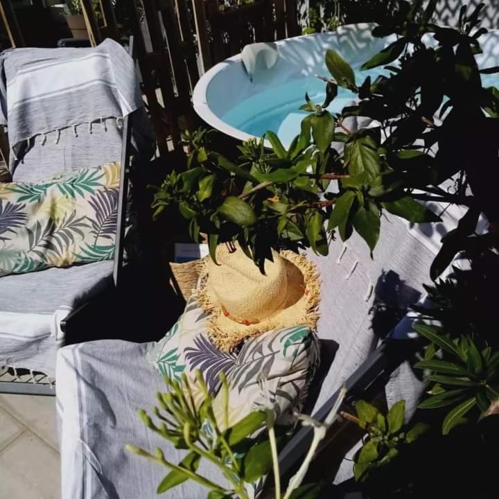 Le Petit Patio Bed & Breakfast Aigues-Mortes Exterior photo