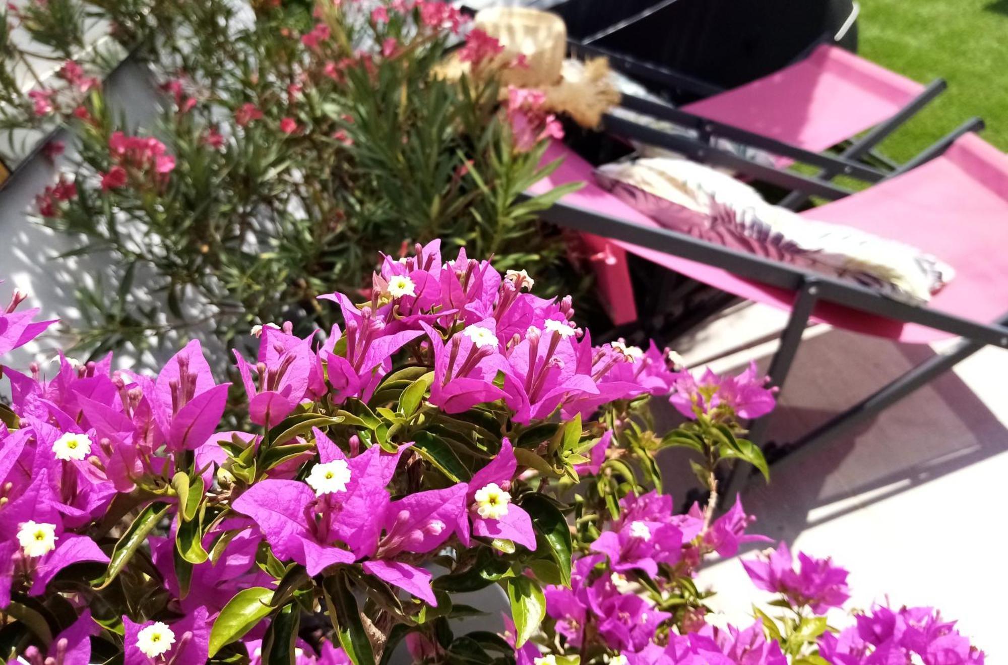 Le Petit Patio Bed & Breakfast Aigues-Mortes Exterior photo