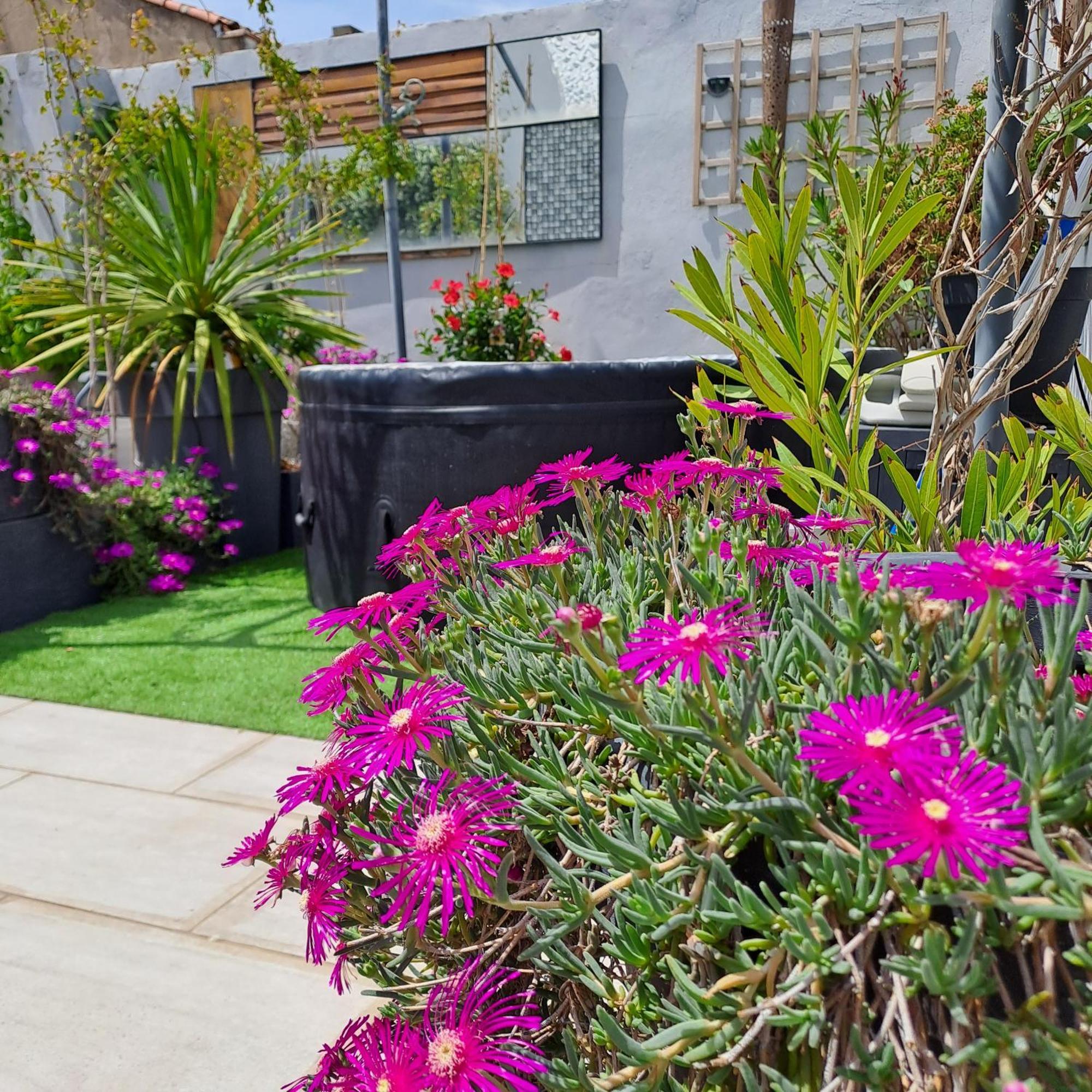 Le Petit Patio Bed & Breakfast Aigues-Mortes Exterior photo